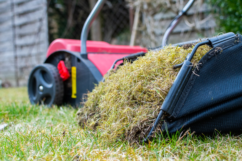 Zerwana strzecha po procesie rekultywacji
