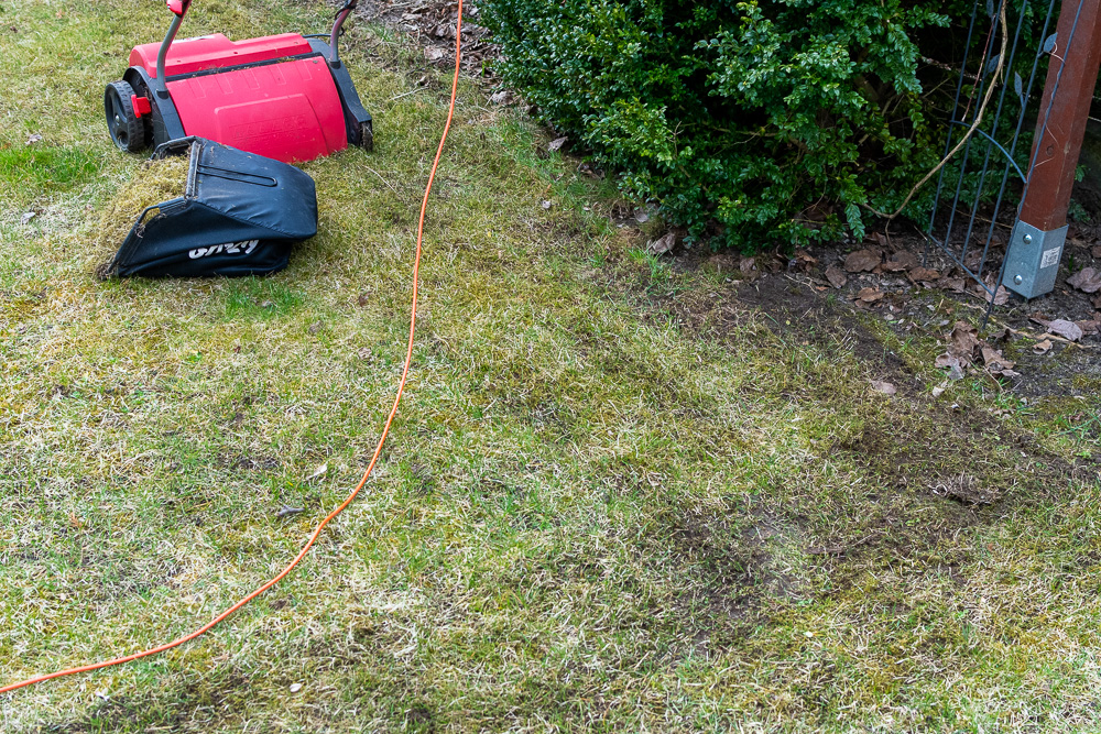 Trawnik po pierwszym przejeździe rekultywatorem